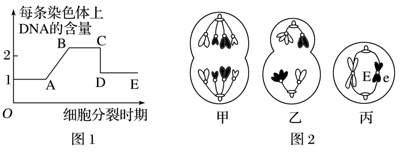 图1表示某生物