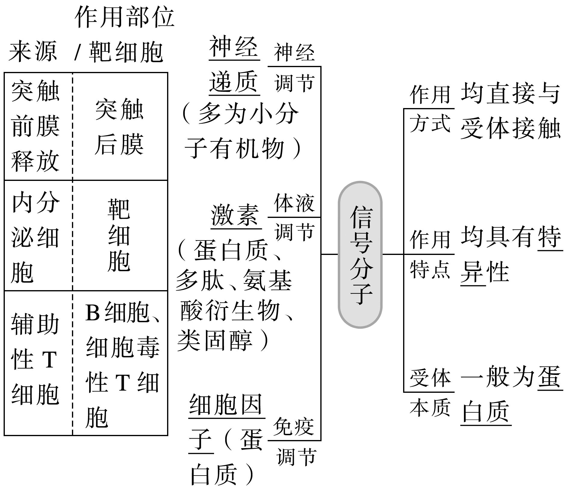 高中免疫系统图解图片