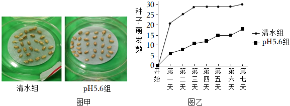 某小组设计实验探究酸雨对小麦种子萌发的影响