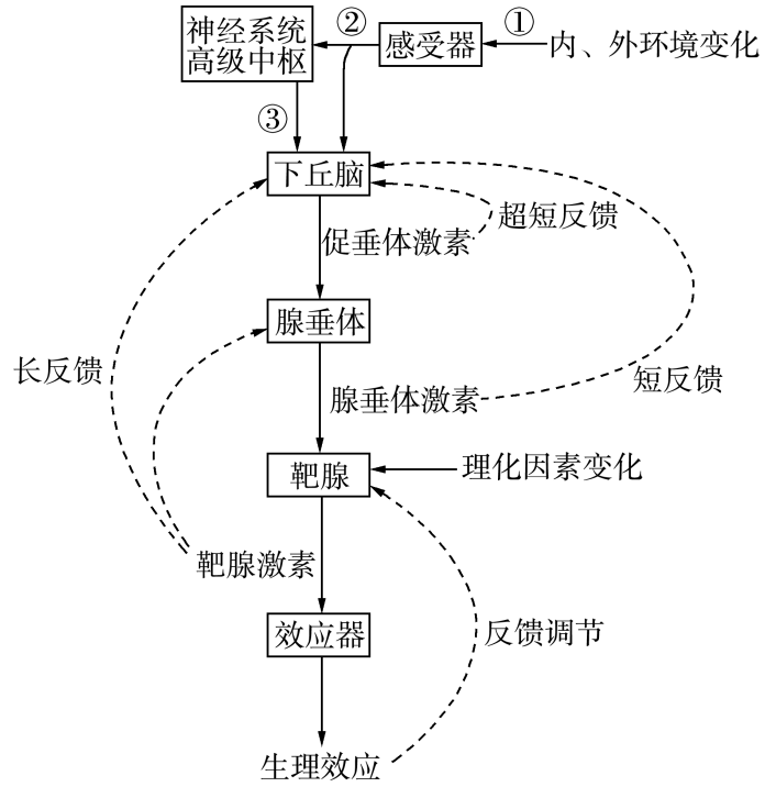 内环境图示图片