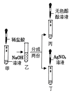 化學研究的主要任務之一是認識物質小雪和小童對naoh展