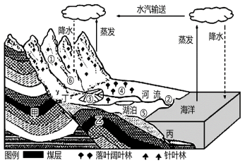 水循环的过程和意义