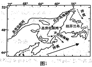 纽芬兰岛的形成过程图片