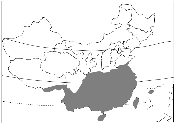 樟树平面图图例图片