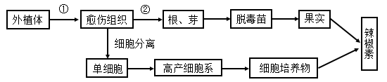 2024届江苏省盐城市高三下学期考前模拟生物试题