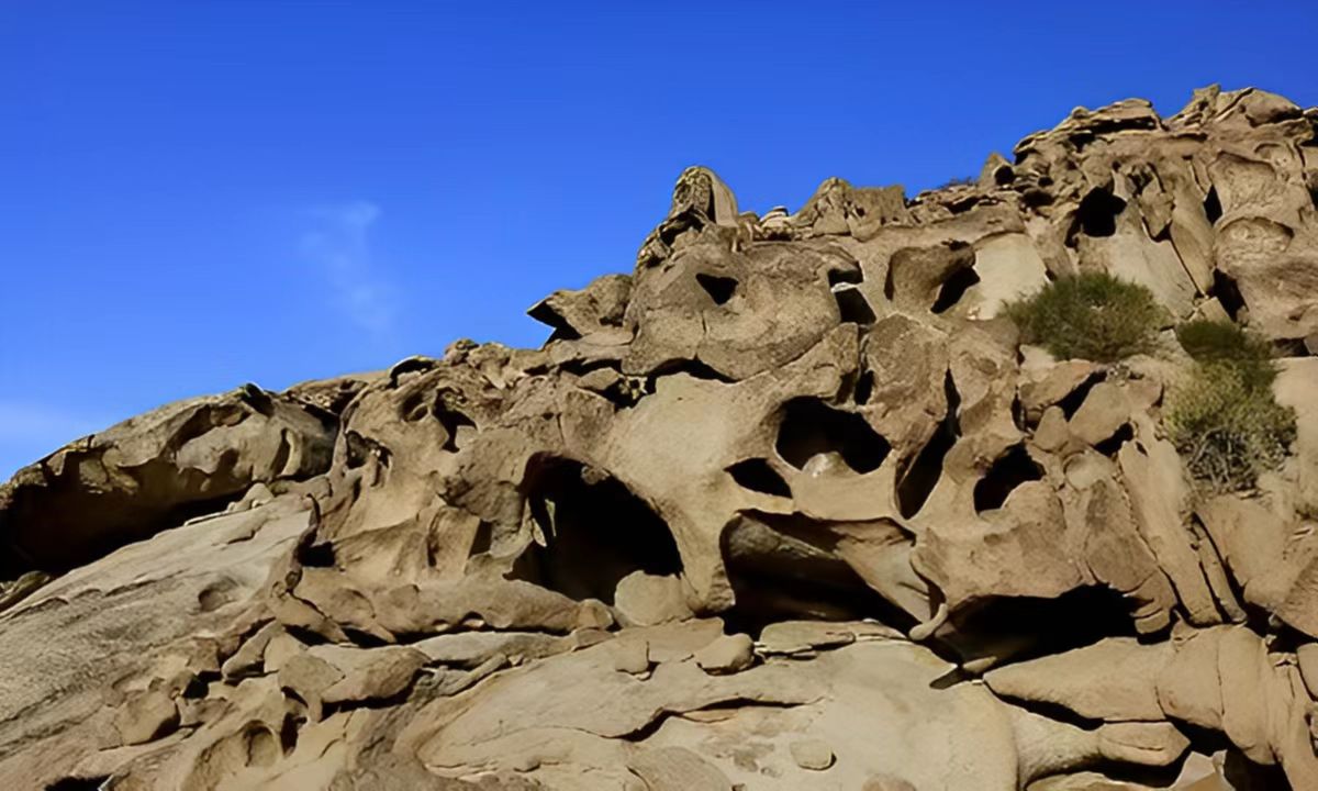 峡谷b风蚀蘑菇c沙丘d