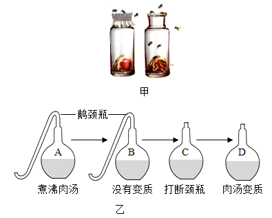 被称为微生物学之父的法国科学家设计了著名的鹅颈瓶实验如图所示
