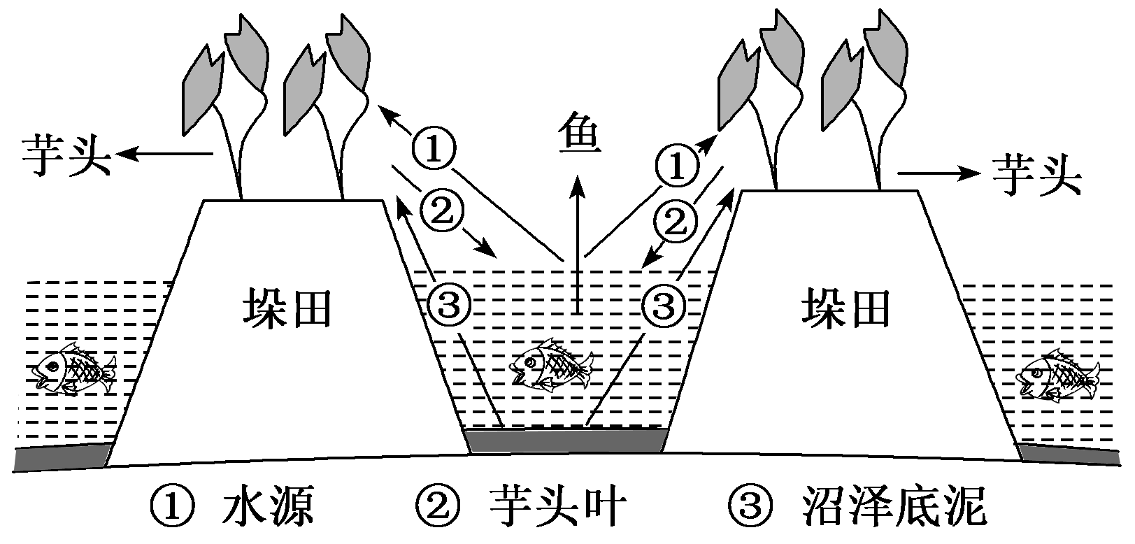 墨累达令盆地混合农业图片