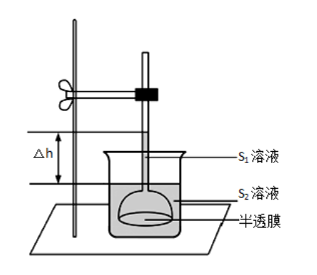 如图为研究渗透作用的实验装置