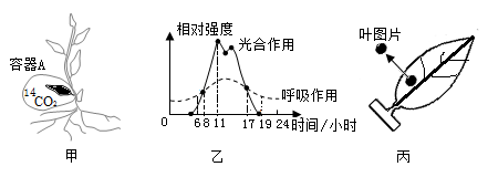 已知光合作用的表達式為6h2o6co2