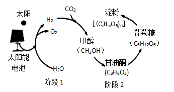 二氧化碳变淀粉图片