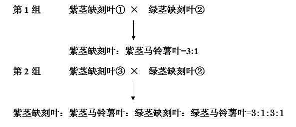 植物的相对性状图片