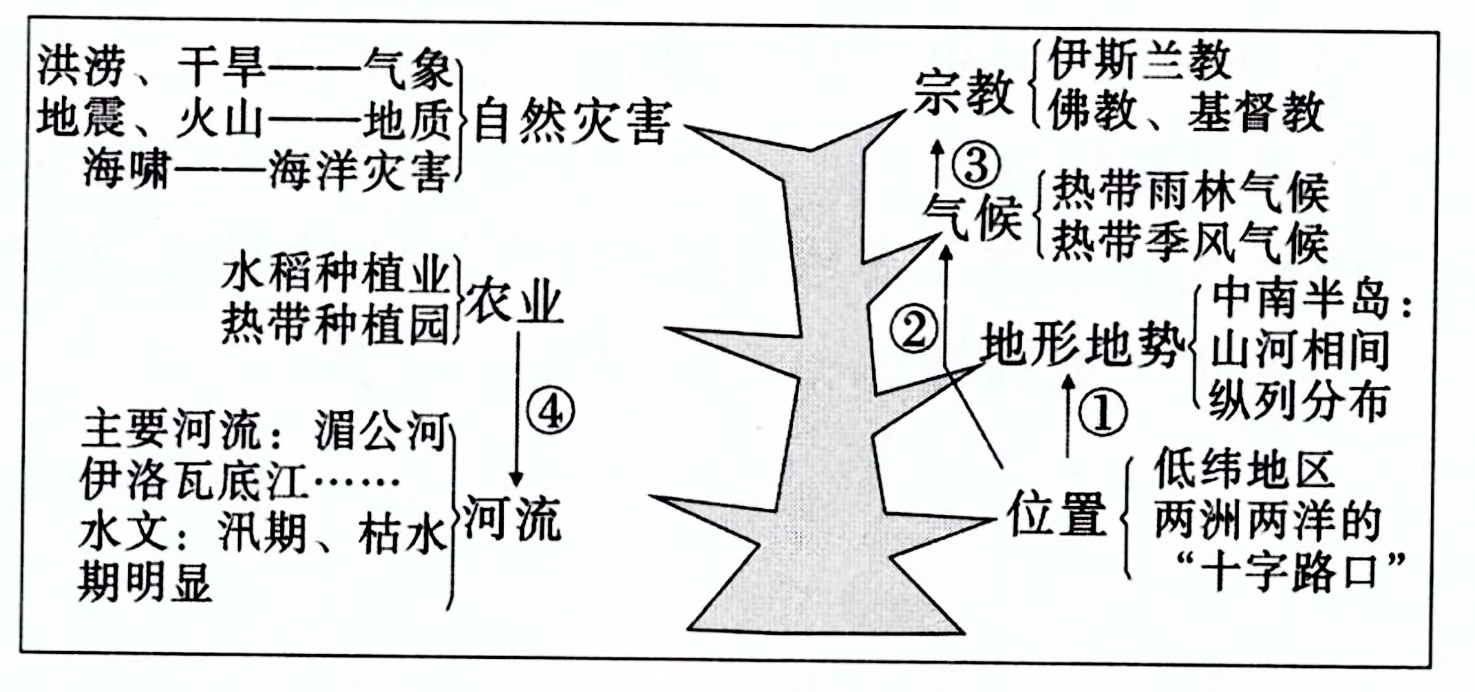 【小题1】贝贝想用大洲地区或国家名称给该知识树命名,他可能命名为