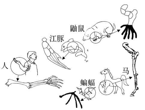 组卷网-学科网e卷通组卷系统_在线组卷平台