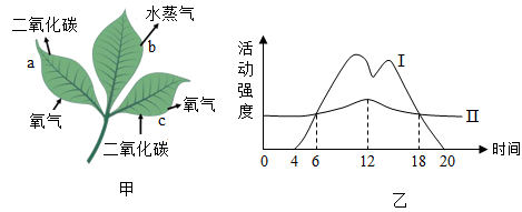 植物光合作用曲线图图片