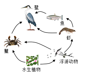 长江是全球生物多样性最为丰富的河流之一分布有4300多种水生生物为了