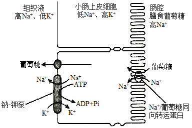 同向转运图片