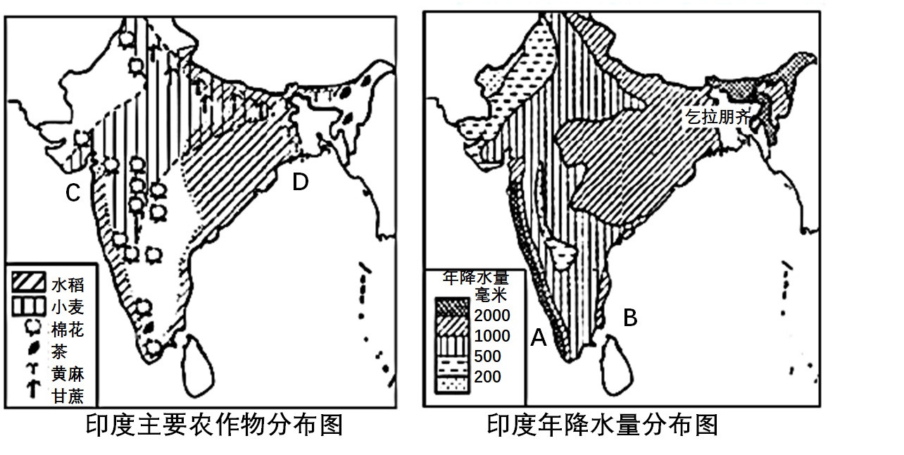 印度农业分布地区图片