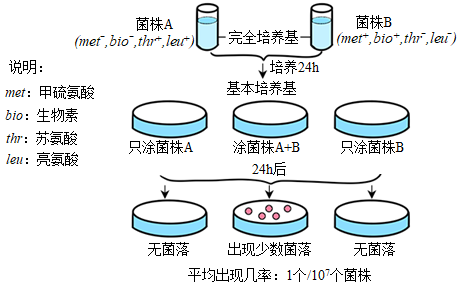 培養基的類型及其應用選擇題練習題及答案-高中生物-組卷網