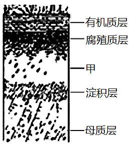 土壤在水中的分层图图片