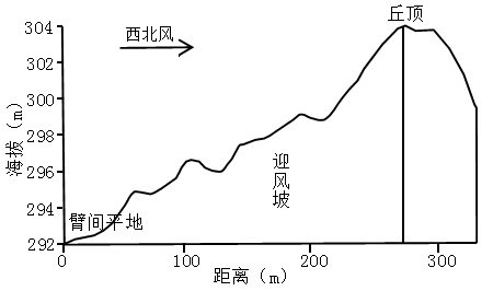 抛物线沙丘形成示意图图片