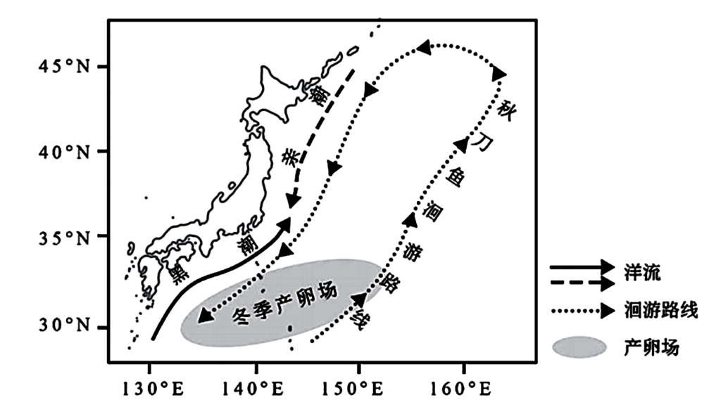 秋刀鱼是西北太平洋典型的洄游鱼类,生长适温范围为10～24℃,最适温度