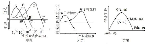 请回答下列问题： 1 甲图中，不同浓度的生长素作用于同一器官上，引起的生理效应不同；而相同浓度的生长素对不同器官的生理效应不同；图中a、b、c三点所对应的浓度为 组卷网