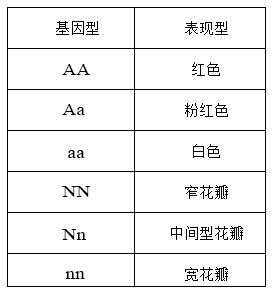 果蝇相对性状图片