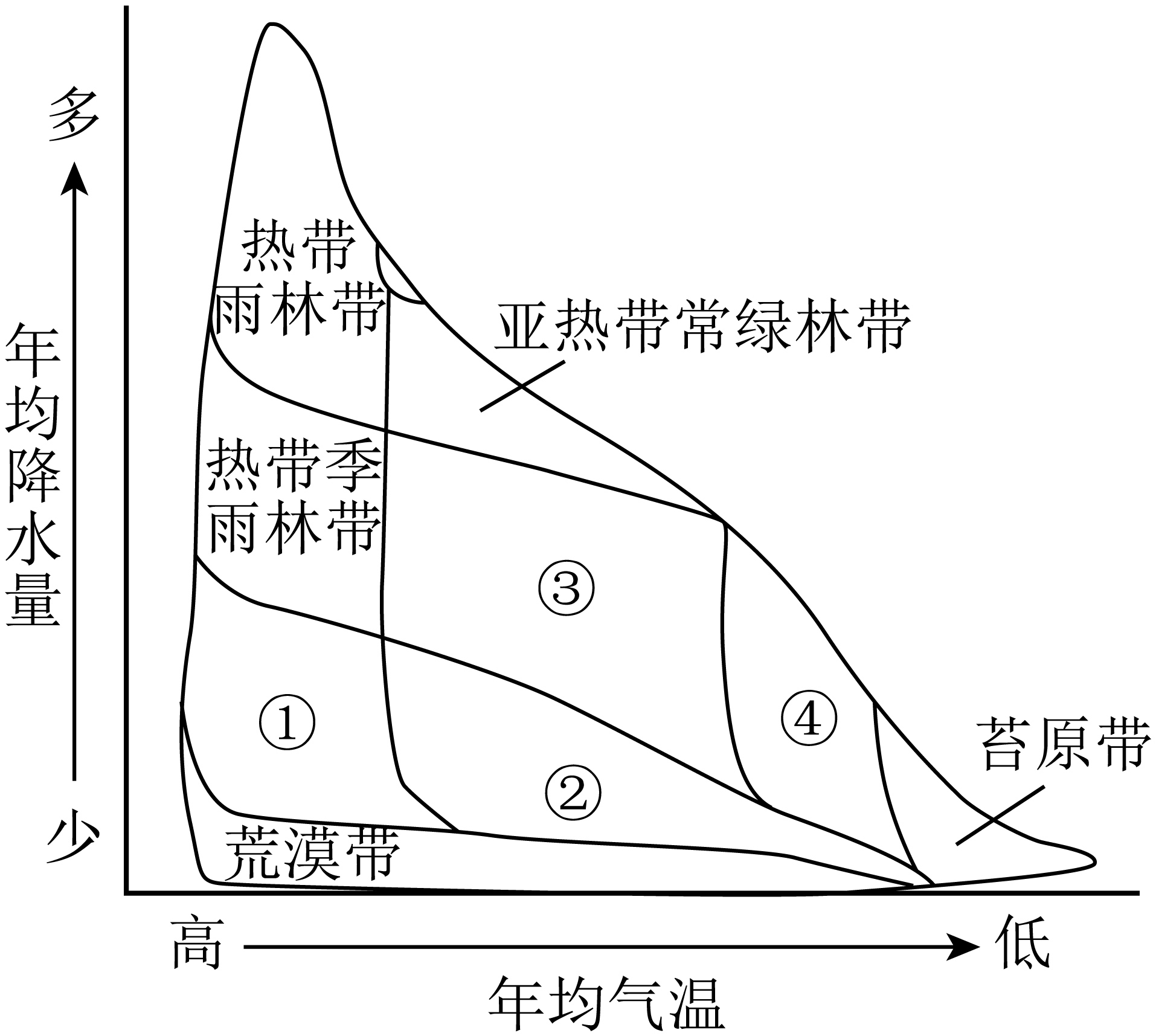 又称亚寒带针叶林,由抗旱耐寒的树种云杉,冷杉,落叶松等组成,主要分布