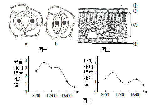 c61be05b-efbd-4759-a2bf-78e7b9ff6001.png?resizew=495
