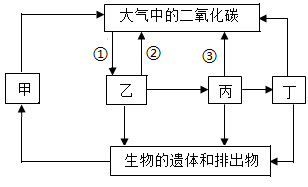 生态系统物质循环简图图片