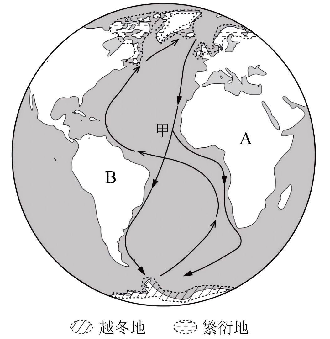 北极燕鸥迁徙路线图图片