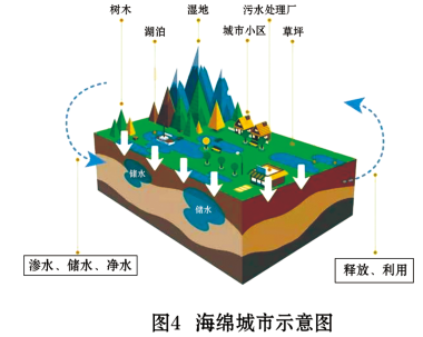 阅读《海绵城市建设,完成下面小题.