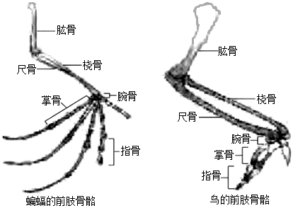 组卷网-学科网e卷通组卷系统_在线组卷平台