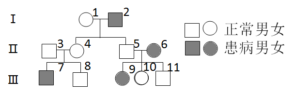 如图是某种遗传病的图解(相关基因用a,a表示)下列叙述错误的是(  )