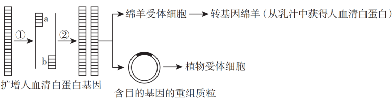 2024屆江蘇省南京市,鹽城市高三一模生物試題-組卷網