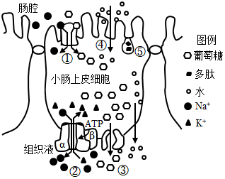 如图①～⑤表示物质进