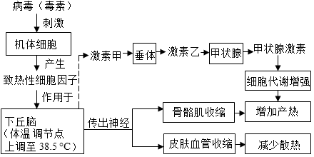 反射弧过程图图片