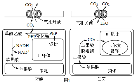 4b1d8e25-c549-496e-aece-5b686bd1315a.png?resizew=469