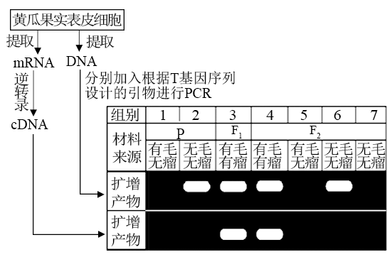 9cdd3d97-0c13-422a-ae1b-8b73fb5b70d3.png?resizew=551