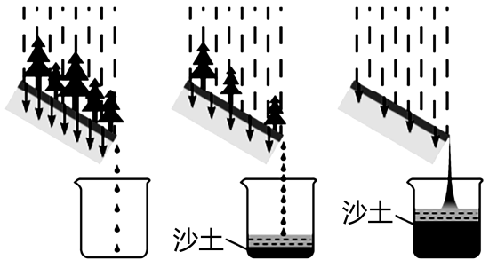 根据实验结果可知,防治水土流失可采取的措施是