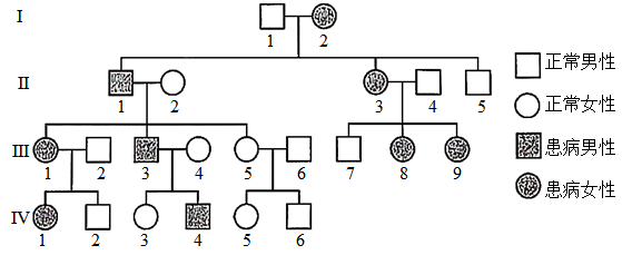 遗传系谱图题图片