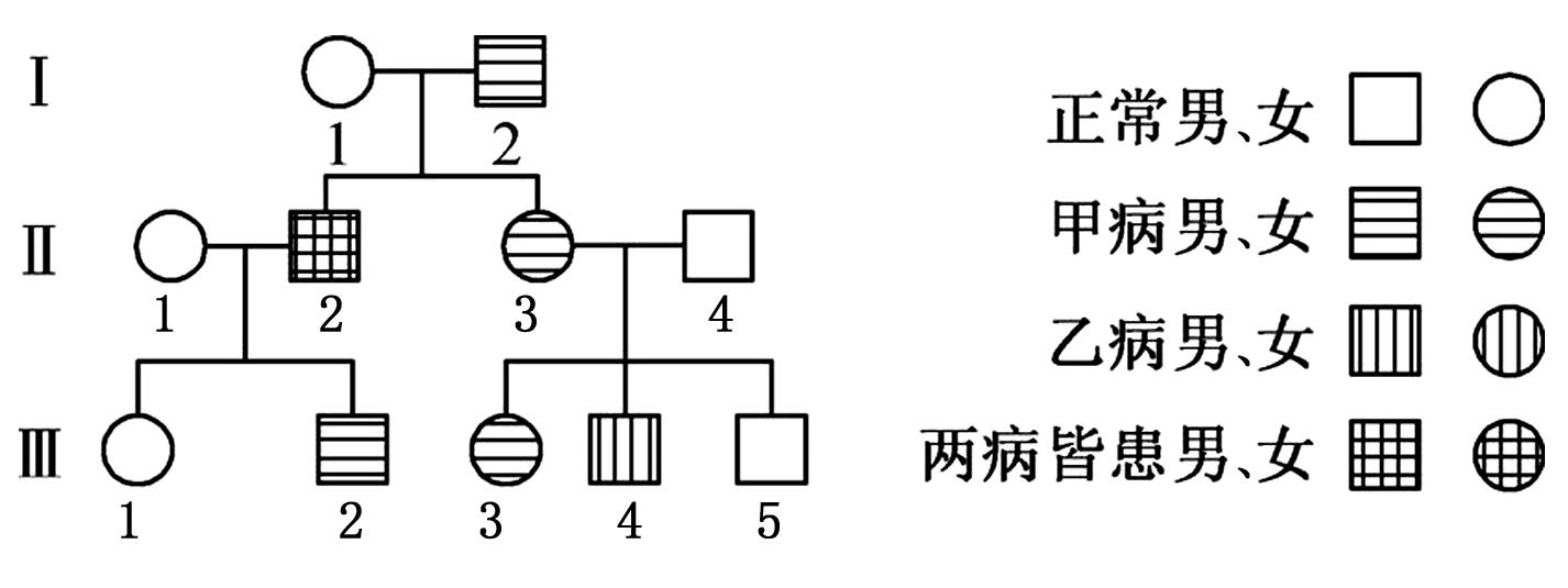 遗传家系图绘制图符号图片