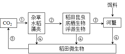 稻蟹共生系统水稻栽培模式是一种新型稻田种养模式,能推动水稻种植