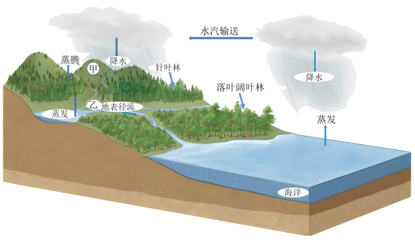 水循环的过程和意义