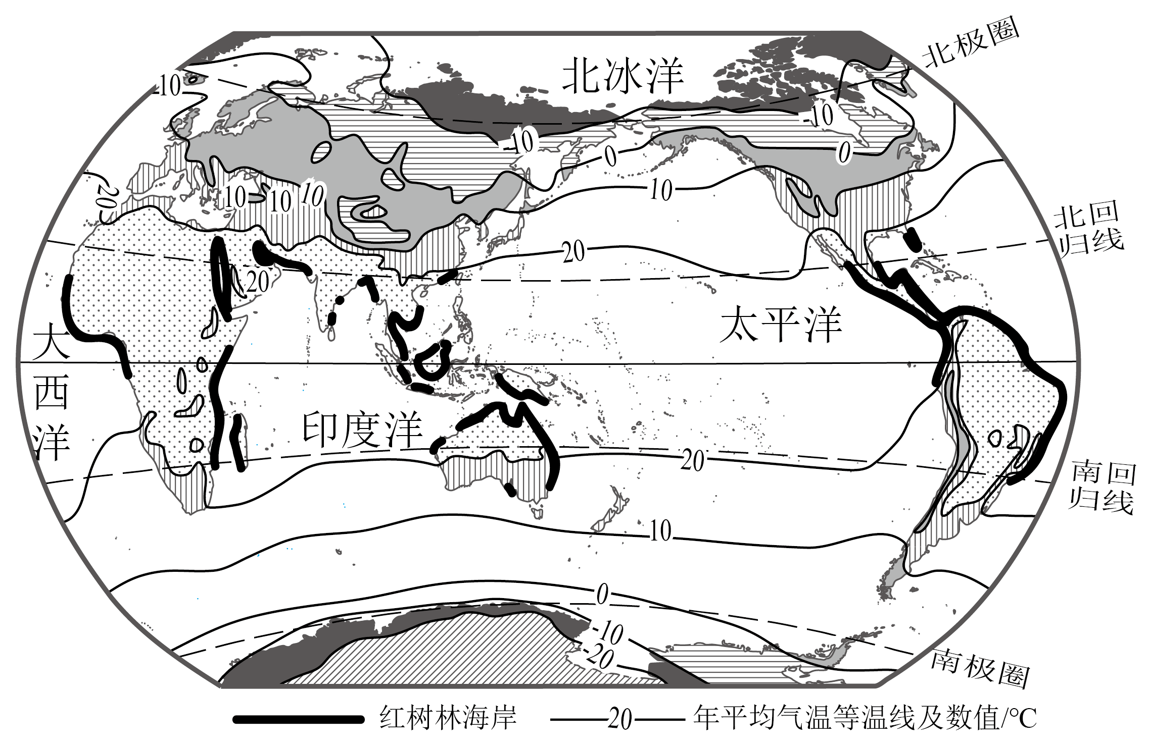 红树林分布图片