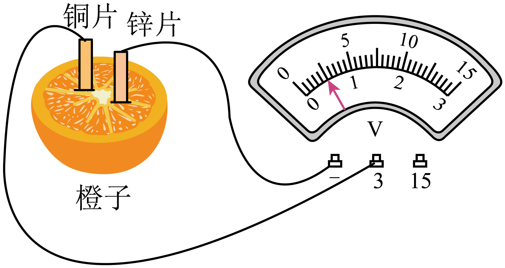 最简单的水果电池图片