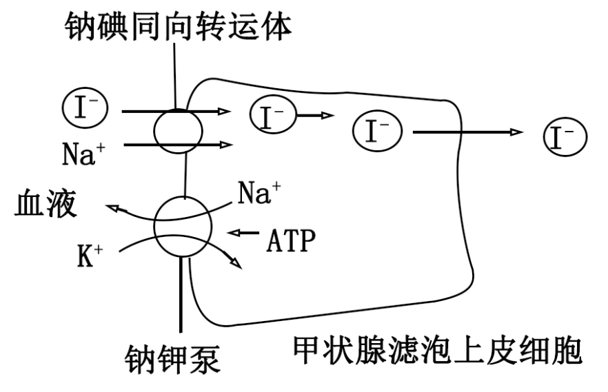 同向转运图片