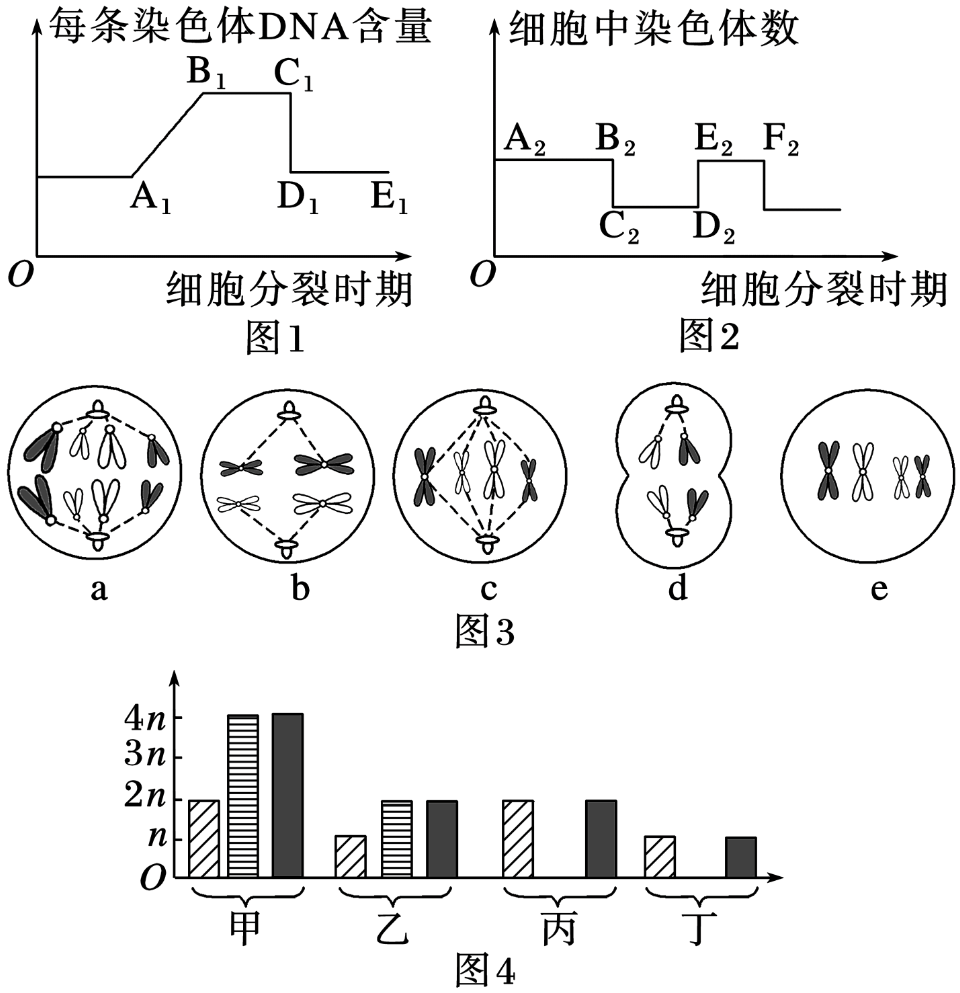 图1表示细胞分裂过程中每条染色体dna含量变化图;图2表示减数分裂过程