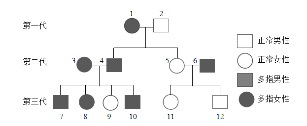 遗传家系图绘制图符号图片